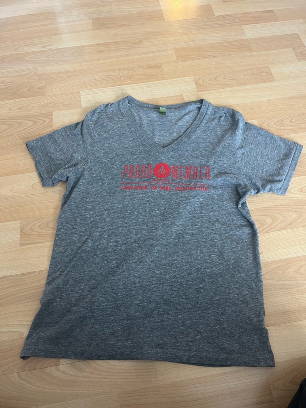 Gray V-Neck Graphic Men's T-Shirt - Winnipeg size large